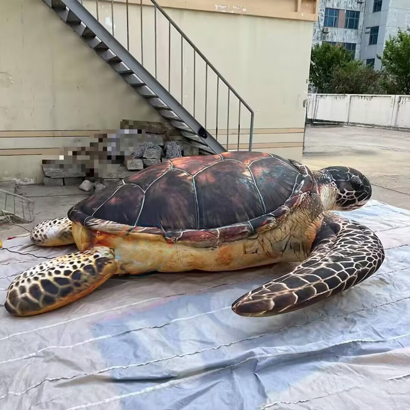 Tartarugas marinhas infláveis, - Aquarium Marine Shop avaliação e preço