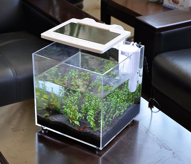 Mini Aquário de Acrílico (25*2 - Aquarium Marina avaliação e preço